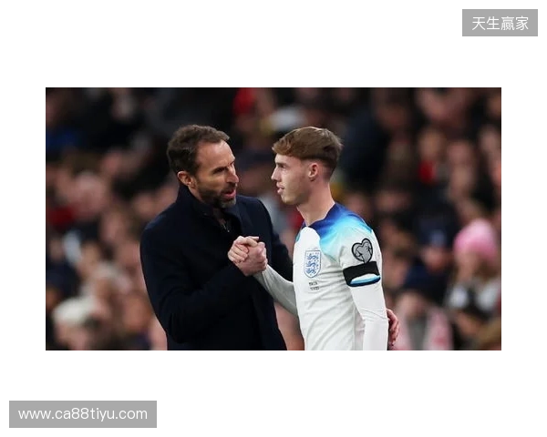 图赫尔谈10号位:一阶段考察帕尔默&福登;二阶段贝林&罗杰斯